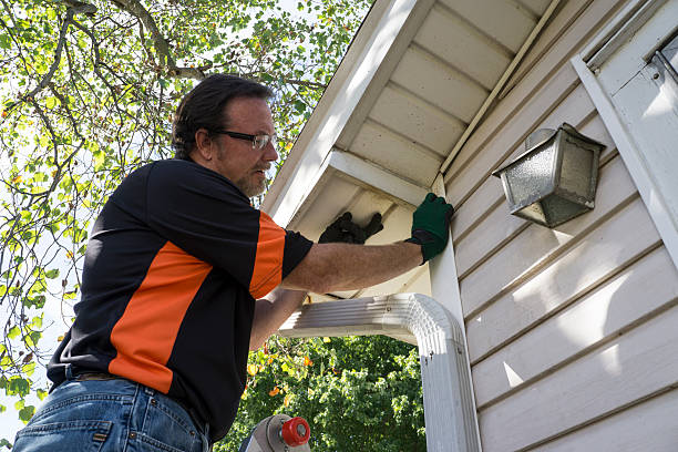 Affordable Siding Repair and Maintenance Services in Mathews, LA